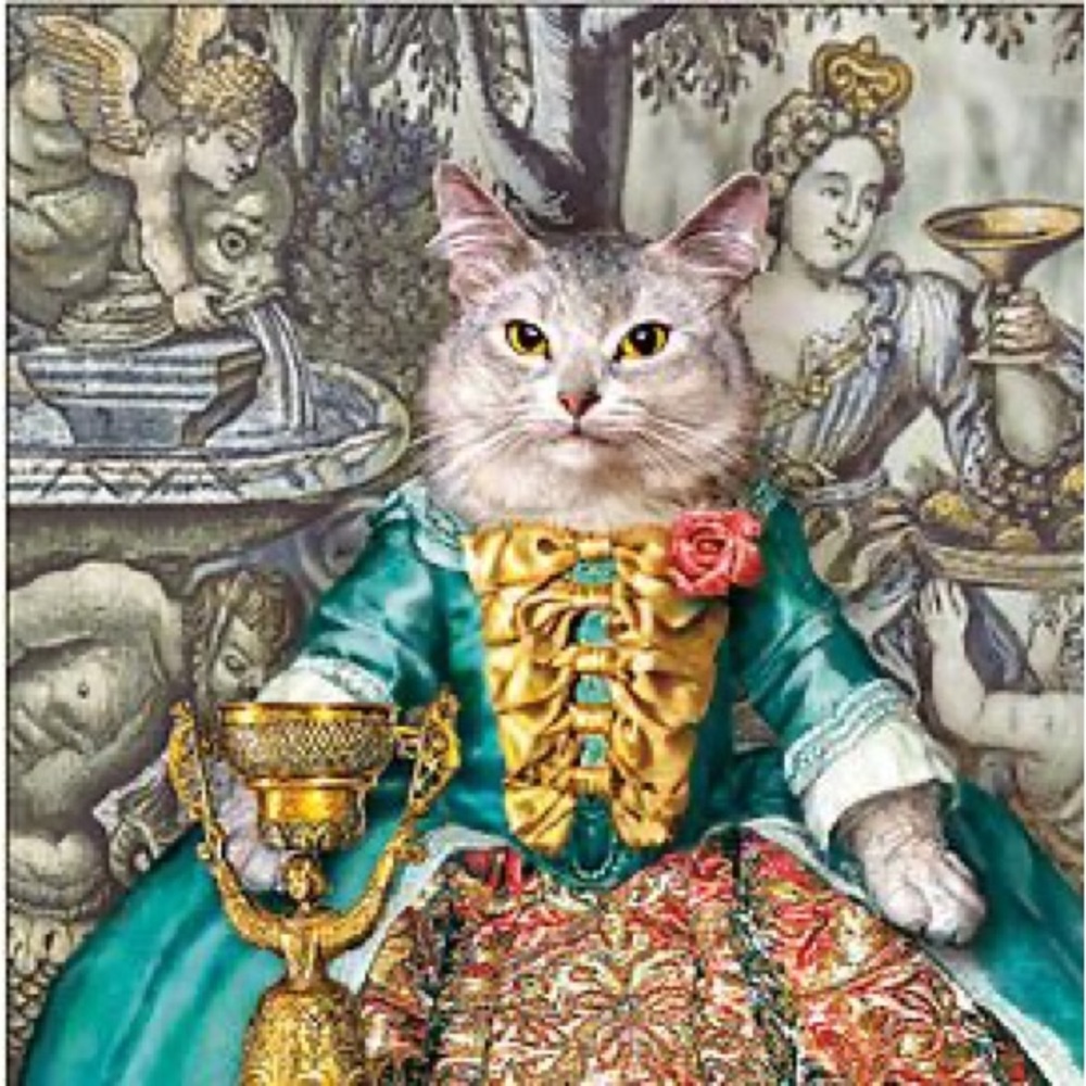 Meet your Posher, Aurora